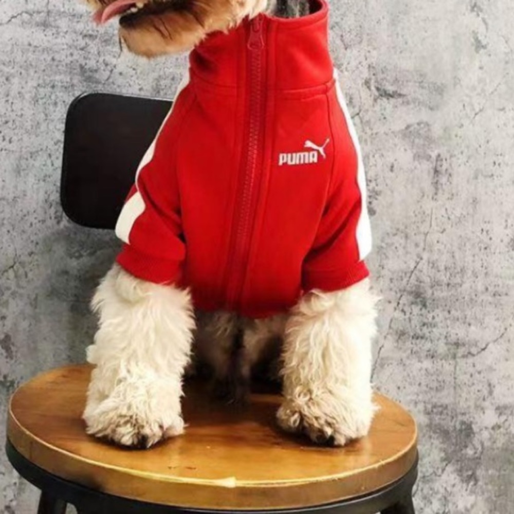 Dog puma jacket